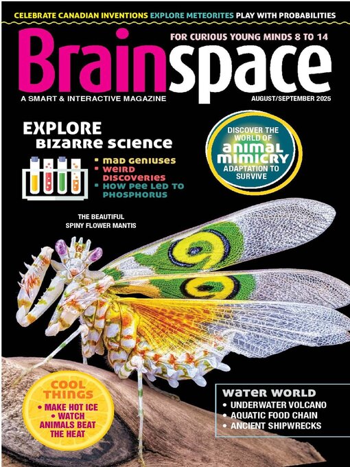 Title details for Brainspace by Brainspace Publishing Inc. - Available